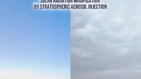 Rothschild BlackRock WEF Power...