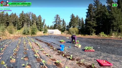 Beautiful Day Day 364 Family Builds FARMSTEAD Dream Journey to Freedom in REMOTE ALASKAN Village | !Real
