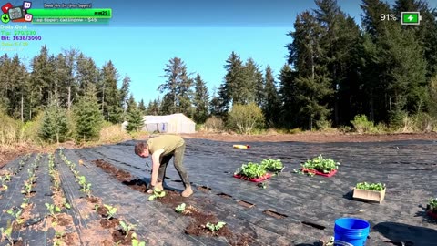 Beautiful Day Day 364 Family Builds FARMSTEAD Dream Journey to Freedom in REMOTE ALASKAN Village | !Real