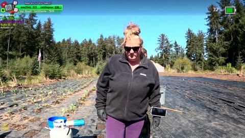 Beautiful Day Day 364 Family Builds FARMSTEAD Dream Journey to Freedom in REMOTE ALASKAN Village | !Real