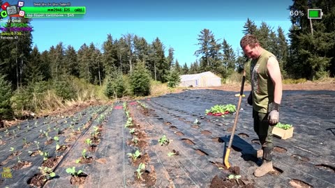 Beautiful Day Day 364 Family Builds FARMSTEAD Dream Journey to Freedom in REMOTE ALASKAN Village | !Real