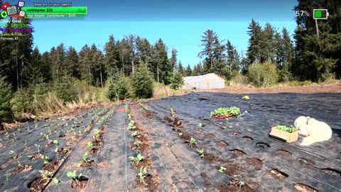 Beautiful Day Day 364 Family Builds FARMSTEAD Dream Journey to Freedom in REMOTE ALASKAN Village | !Real