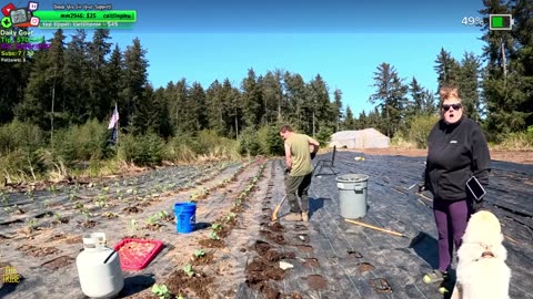 Beautiful Day Day 364 Family Builds FARMSTEAD Dream Journey to Freedom in REMOTE ALASKAN Village | !Real