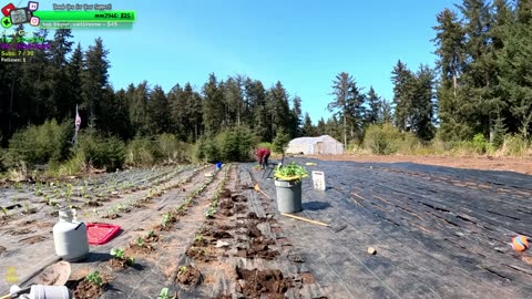 Beautiful Day Day 364 Family Builds FARMSTEAD Dream Journey to Freedom in REMOTE ALASKAN Village | !Real