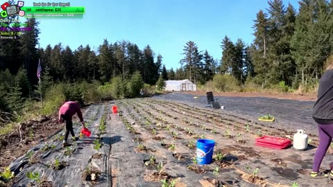 Beautiful Day Day 364 Family Builds FARMSTEAD Dream Journey to Freedom in REMOTE ALASKAN Village | !Real