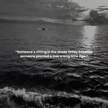 Someone’s sitting in the shade today because someone planted a tree a long time ago.