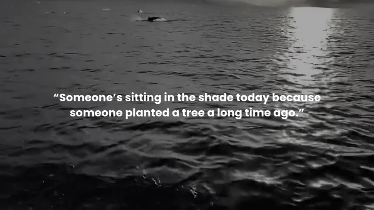 Someone’s sitting in the shade today because someone planted a tree a long time ago.