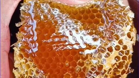 What’s the Only Food That Never Expires? 🤯🍯