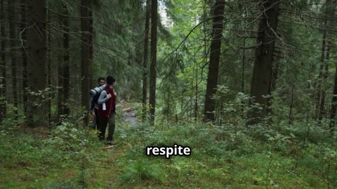 Unlocking Nature's Remedies for Stress Relief