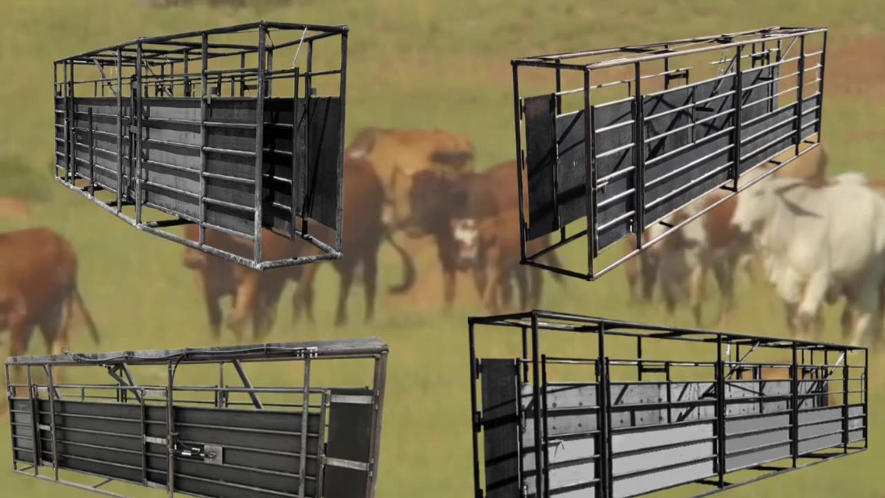 Superior Standard Adjustable Alleyways