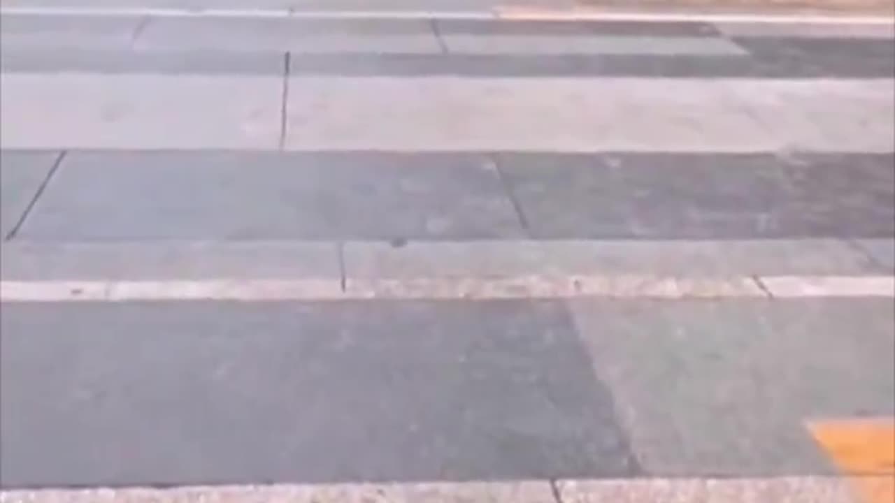 Windy day.. 😂