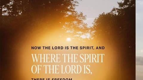 Prayer of Freedom #youtubeshorts #grace #jesus #mercy #faith #fyp #trust #bless #freedom #love #joy