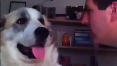 Do Dogs Secretly Understand Us? Watch This! 🐾