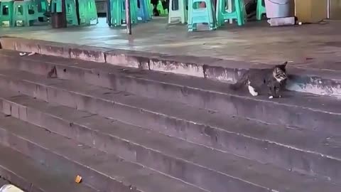😂 The Moment He Realized He's Late! | FunFM