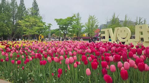 International Horticulture goyang Korea