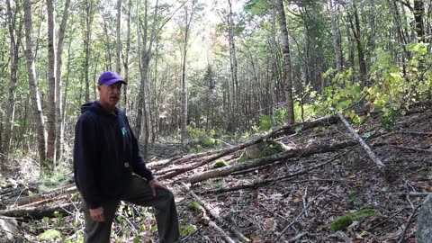 Building a Disc Golf Course in Maine