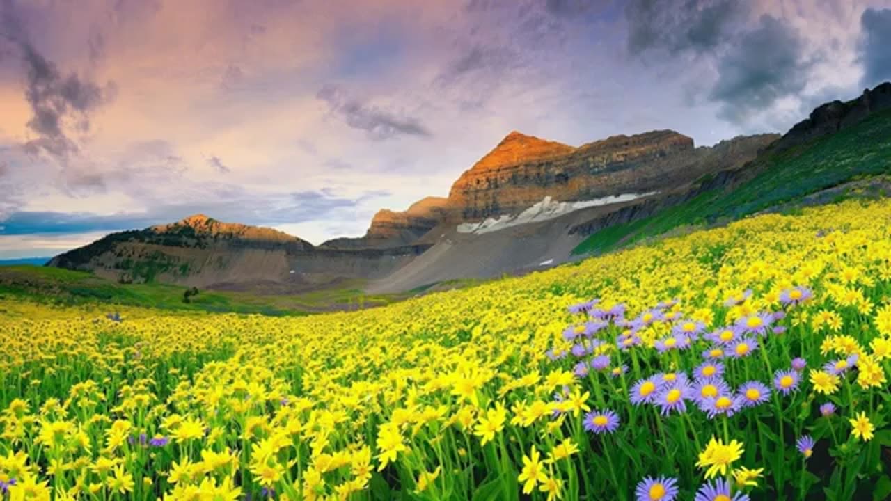 Angel Wisdom with Sharon Taphorn Resources, Sunday, April 7, 2019