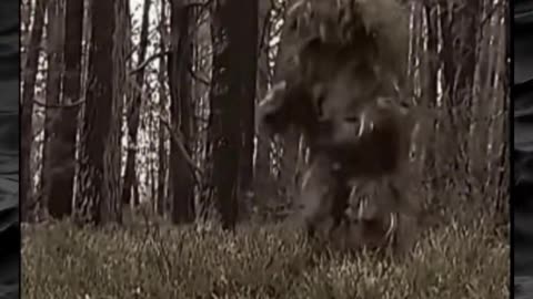 😱👻 The Creepiest Paranormal Video You'll Ever See! Creepy Paranormal Videos | TheHauntingHour