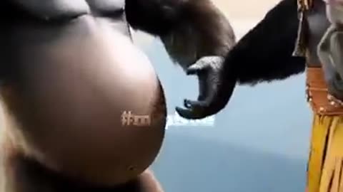 Unusual Wedding： When Nature Witnesses Wordless Love #nature #animals #funny #love #trending