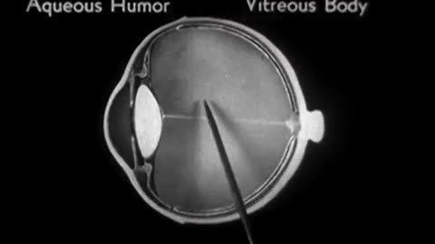 How the Eye Functions, 1941