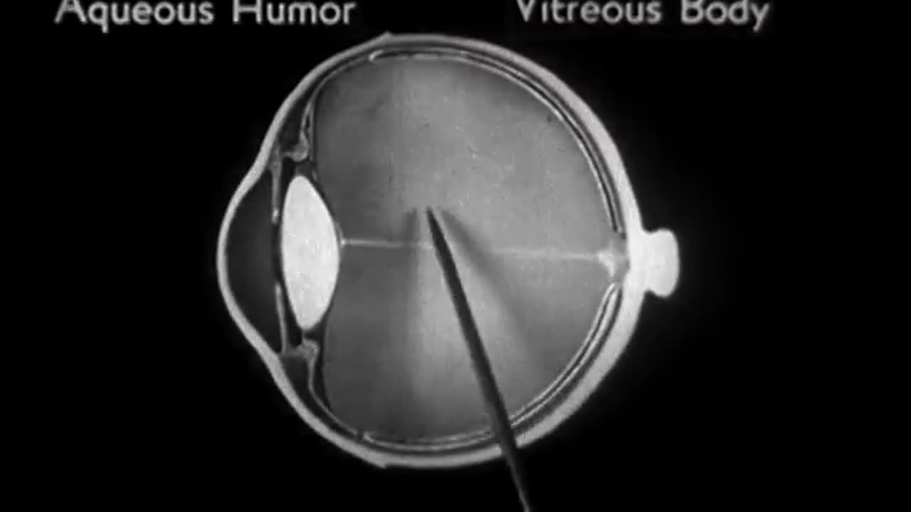 How the Eye Functions, 1941