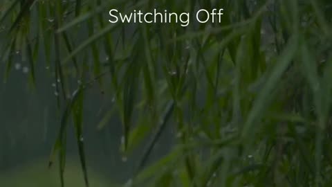 90-Second Guided Meditation to Switch Off & Recharge – Quick Mind Reset for Instant Calm