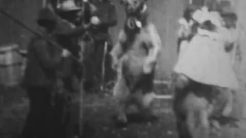 Trick Bears, Turn of the Century 