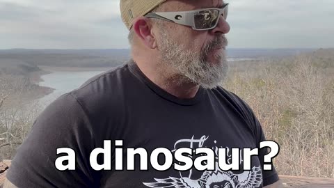 Fight A Dinosaur