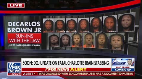 Deputy AG: Charlotte NC Failed Iryna Zarutska
