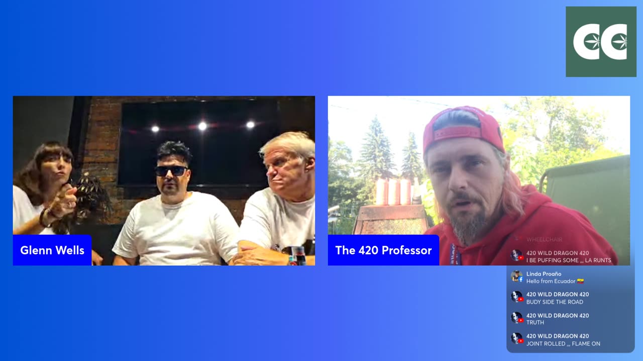 The THC show with Glenn Wells