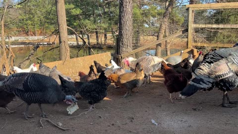 5 Minutes of Snacking