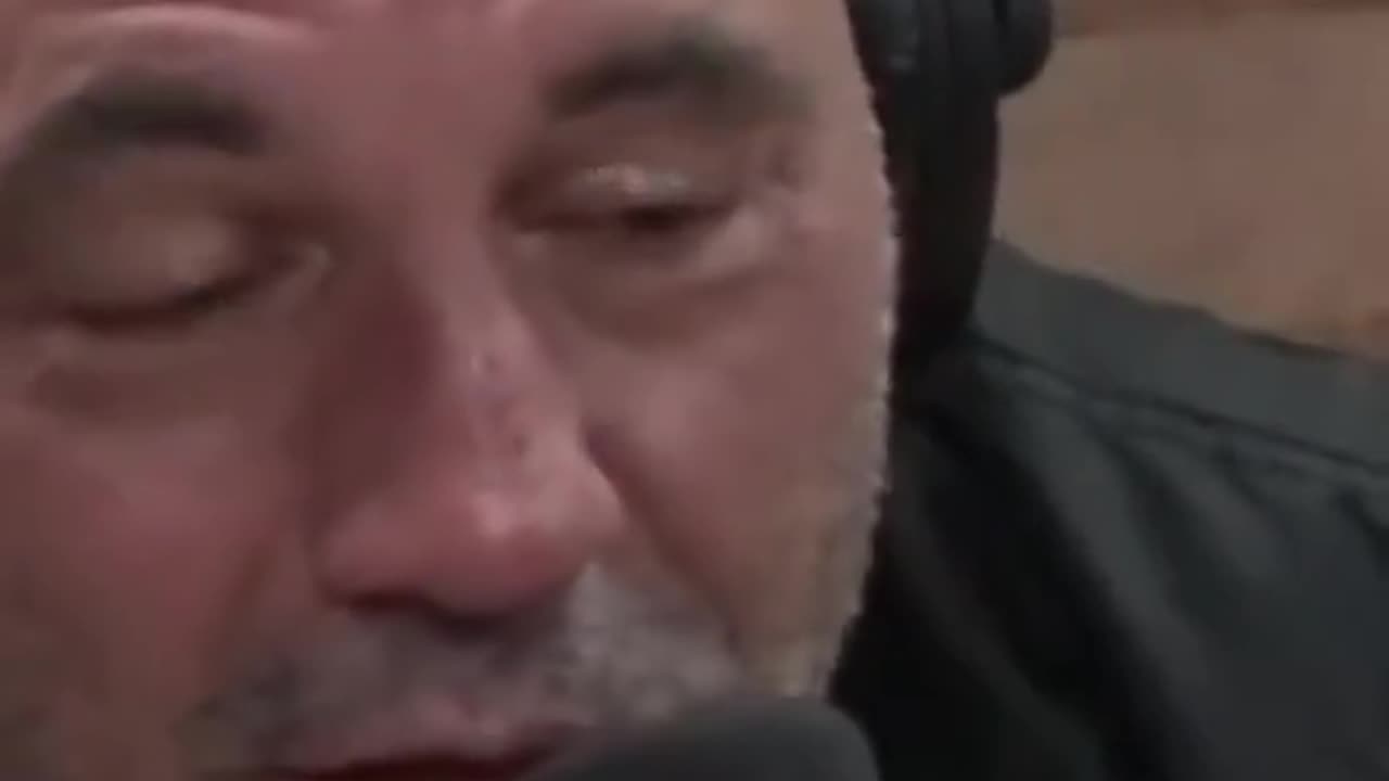 Joe Rogan: "Wanna hear another conspiracy theory, that you probably don't know?"