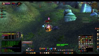 Turtle wow - The new server Ambershire - Paladin POV - Crescent Grove - custom dungeon - 2nd run
