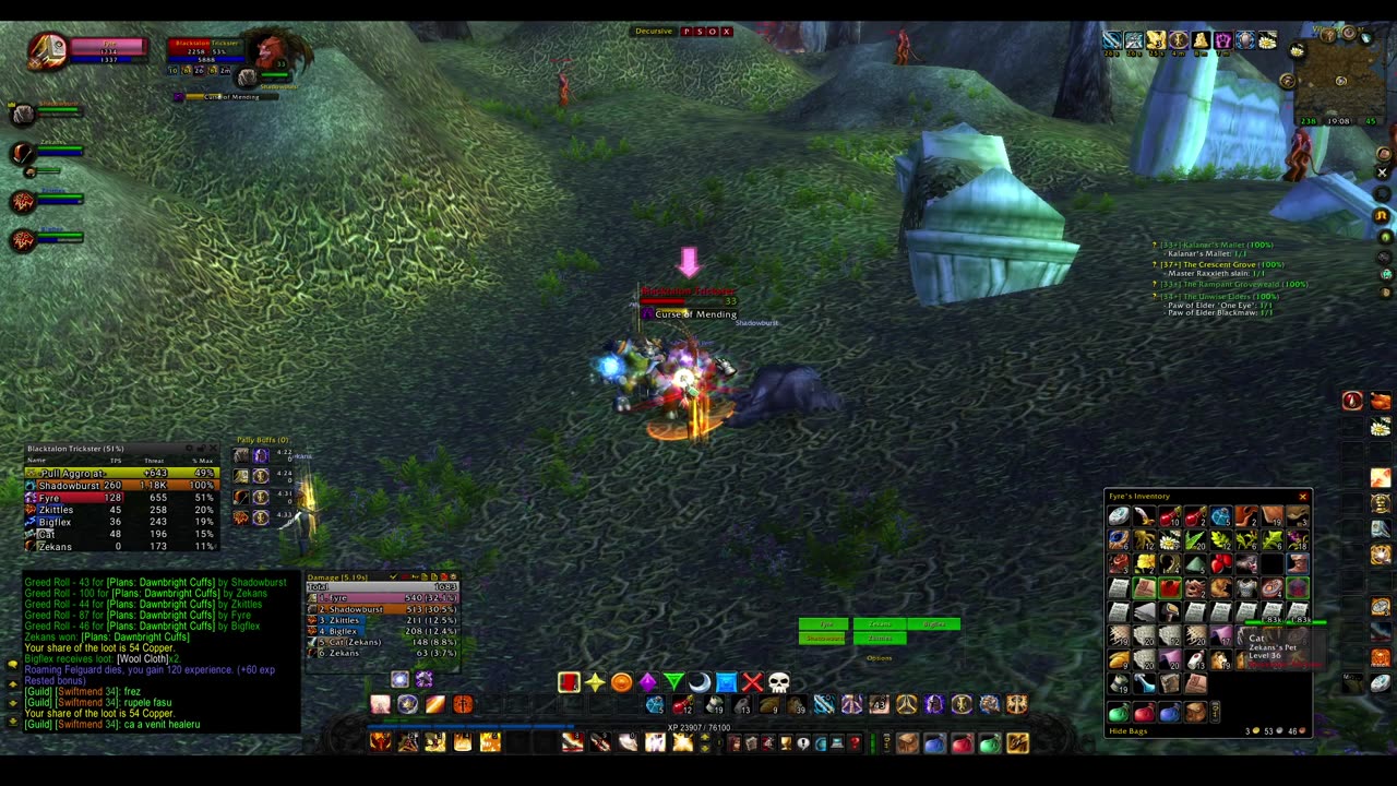 Turtle wow - The new server Ambershire - Paladin POV - Crescent Grove - custom dungeon - 2nd run
