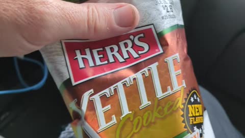 Herr's Kettle Cooked Honey Jalapeno Potato Chips Taste Test Fast-Food Restaurant Dessert Review Guys