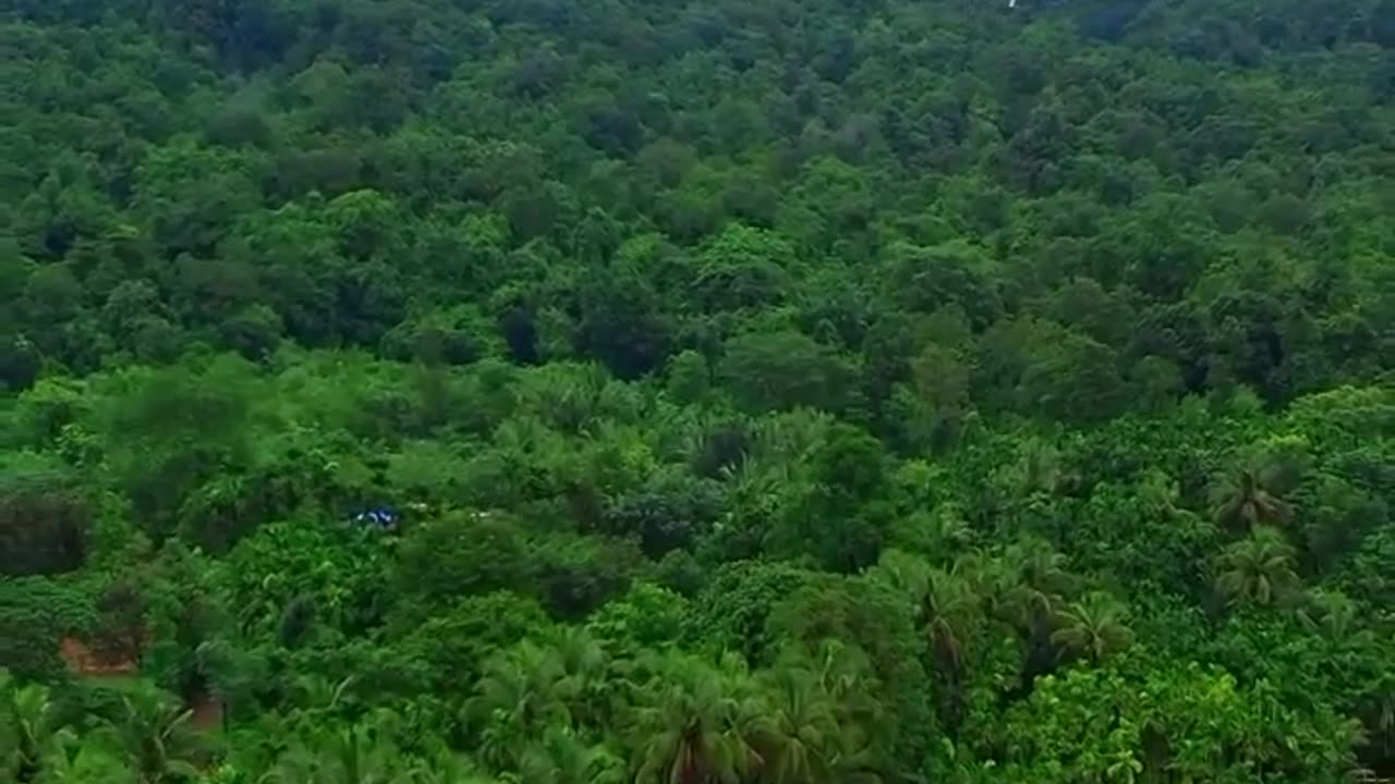 Nature video