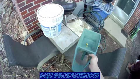 SEEDING