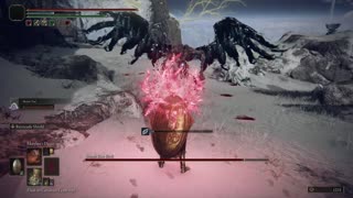 Elden Ring NG+1 | Death Rite Bird in Mountaintops of the Giants boss with Mimic Tear #eldenring