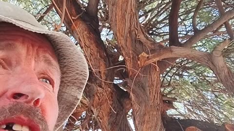 Hitting the streets IRL - Aug 7 2025