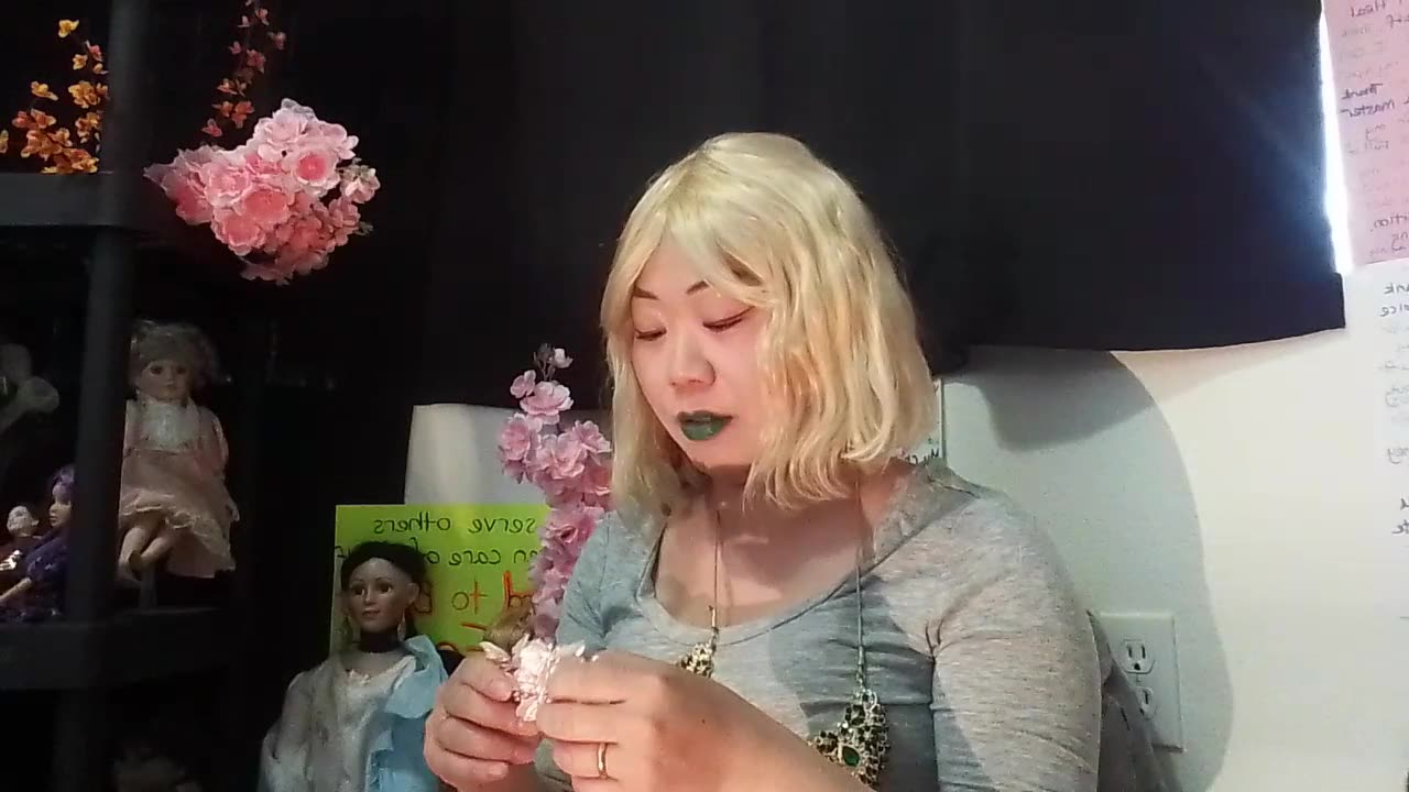 Kitty 🐈 Orange reflective suit