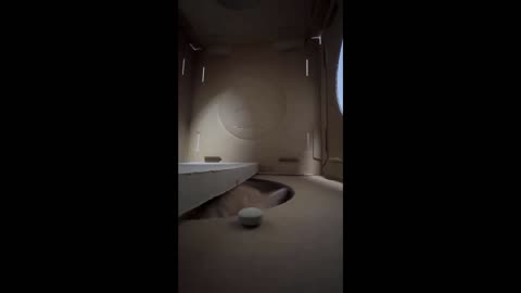 Funny Animal Video
