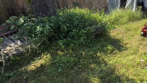This Abandoned Home Became an H.O.A. Nightmare—No One Knows Who Owns It P4