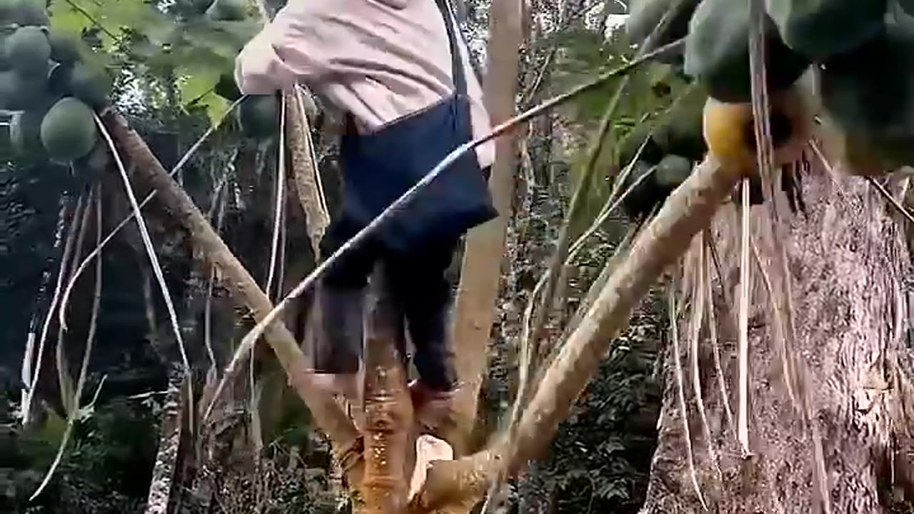 😂 Epic Fails That Will Make Your Day!