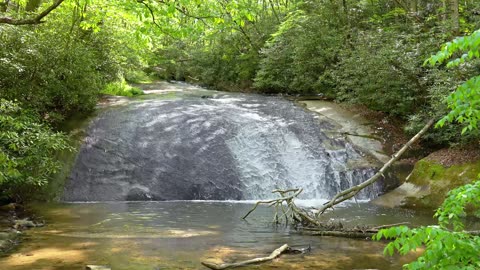 Enjoy the deep jazz music and watch the beauty of the beautiful stream, it's so beautiful P3