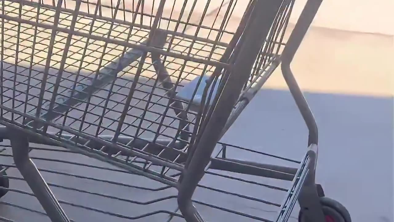 WALMART SHOPPING CARTS HAVE TRACKING DEVICES ON THE BOTTOM OF CARTS