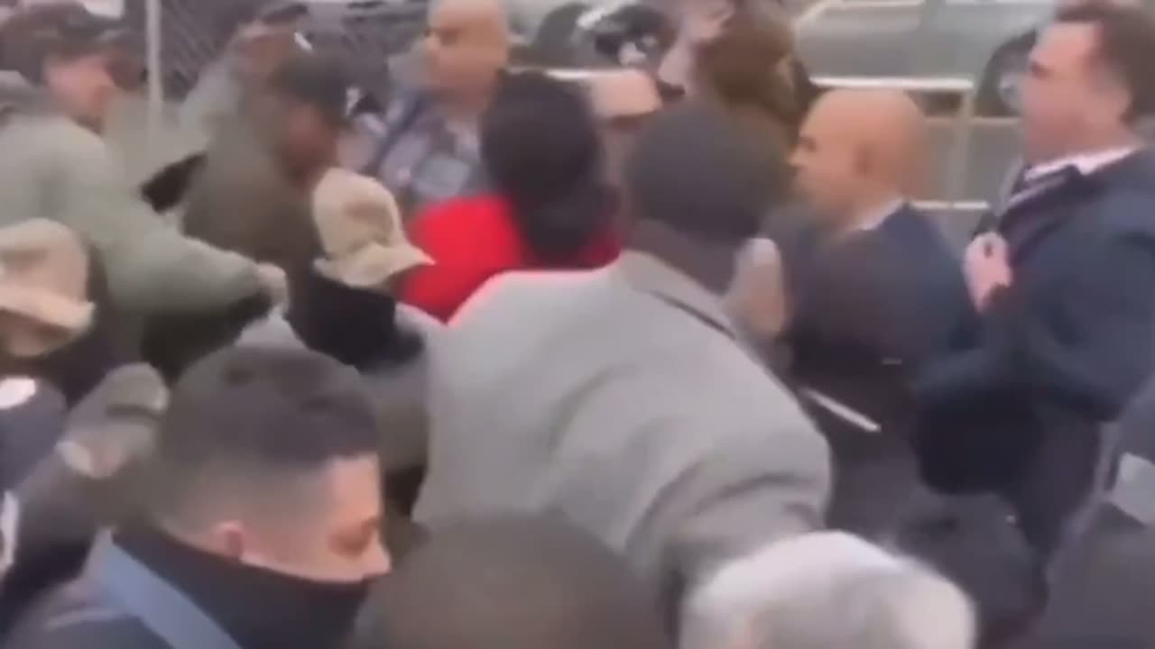 Lamonica McIver attacks ICE Agents