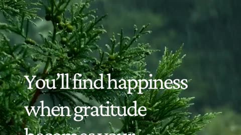 When Gratitude Becomes Your Default, Happiness Follows Naturally