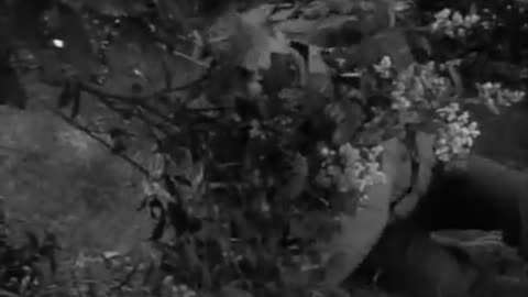 COMBAT! s.2 ep.1; 'The Bridge at Chalons'