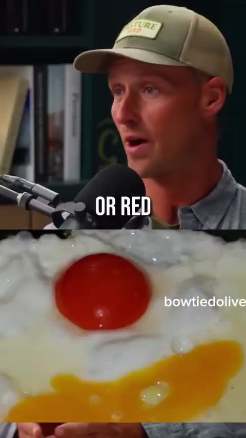 American feed manufacturers are now adding synthetic additives to chicken