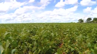 The World According To Monsanto (FULL DOCUMENTARY)